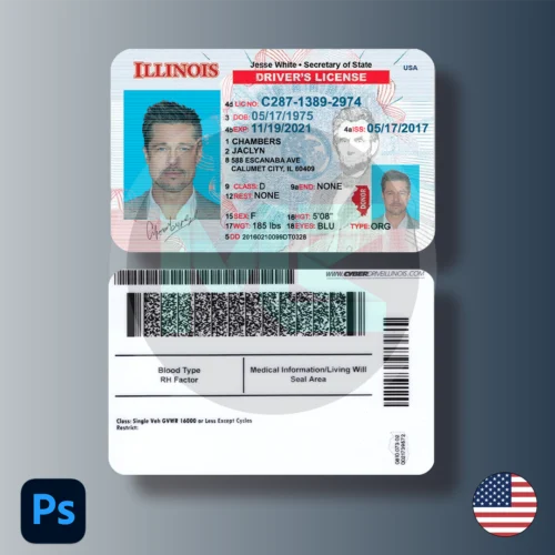 United states Illinois Driver license PSD Format